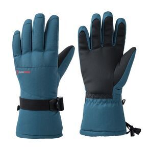 Alpine Swiss Mens Waterproof Ski Gloves Snowboarding 3M Thinsulate Winter Gloves